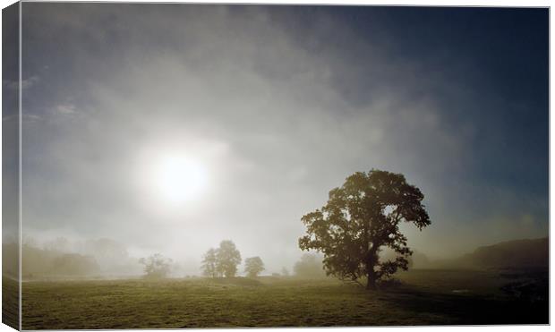 Early Morning Mist Canvas Print by Mike Gorton