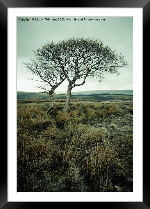 Two Trees, Peak District Framed Mounted Print by Martyn Williams