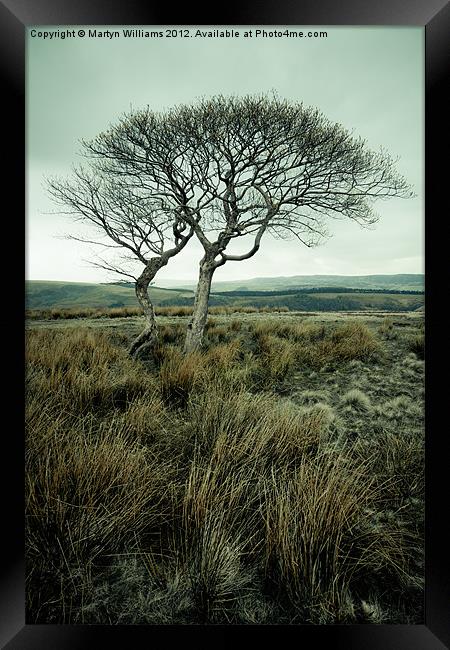 Two Trees, Peak District Framed Print by Martyn Williams