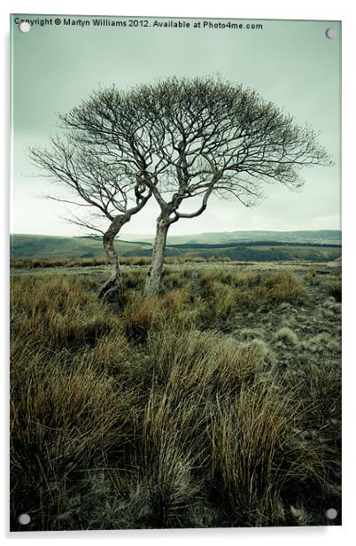 Two Trees, Peak District Acrylic by Martyn Williams