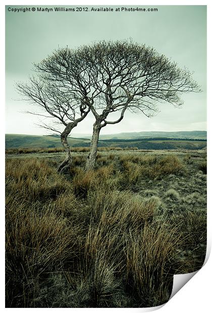 Two Trees, Peak District Print by Martyn Williams