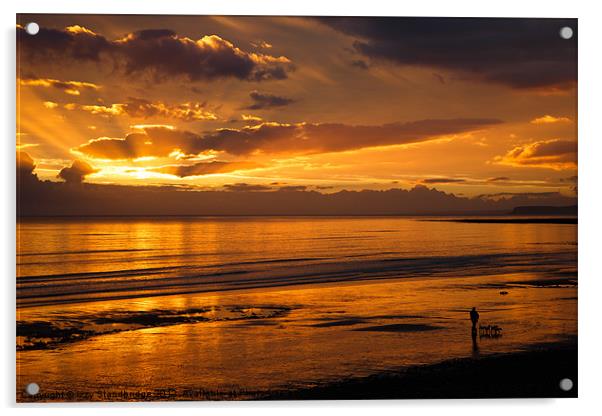 Sunset dog walker Acrylic by Izzy Standbridge