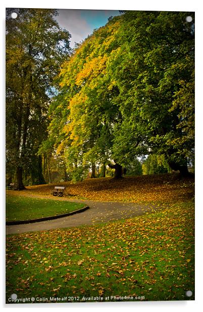 Autumn at Valley Gardens Acrylic by Colin Metcalf