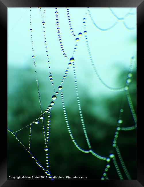 Dew Beads Framed Print by Kim Slater