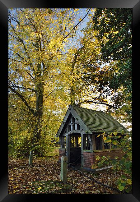 Bostock Bustop Framed Print by Wayne Molyneux