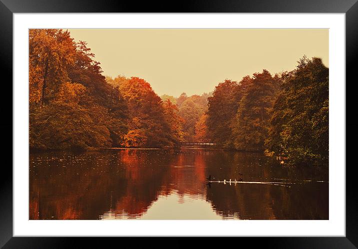 Autumn at Chidingstone Framed Mounted Print by Dawn Cox