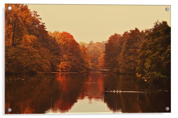 Autumn at Chidingstone Acrylic by Dawn Cox