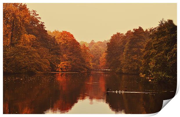 Autumn at Chidingstone Print by Dawn Cox