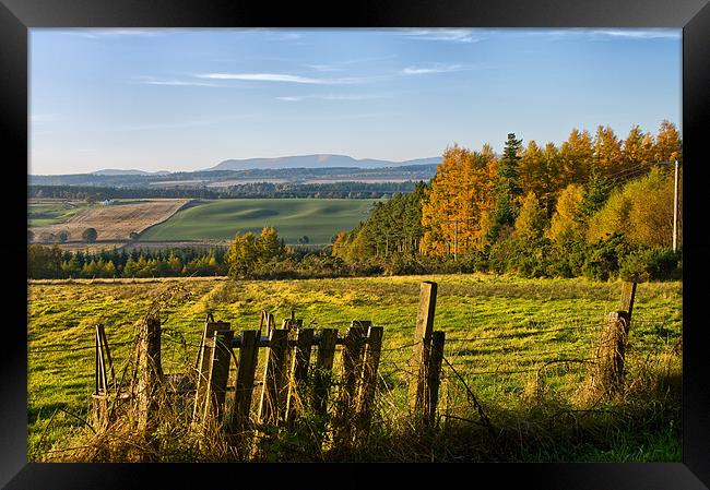 Black Isle Autumn Framed Print by Jacqi Elmslie