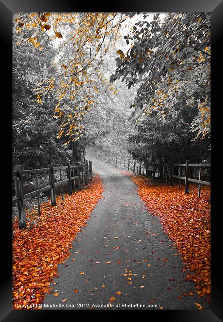 Autumn Path Framed Print by Michelle Orai