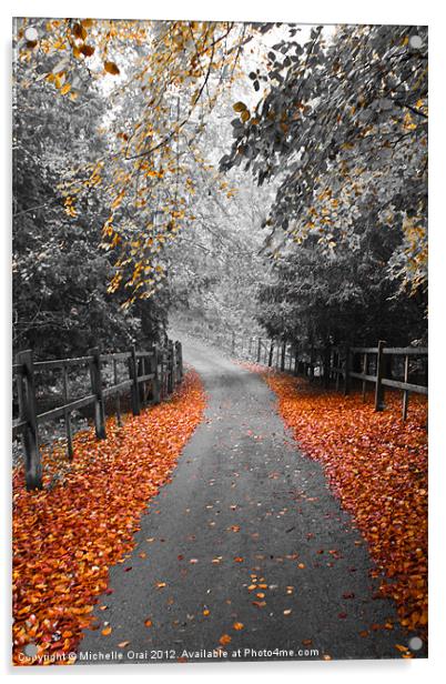 Autumn Path Acrylic by Michelle Orai