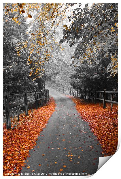 Autumn Path Print by Michelle Orai