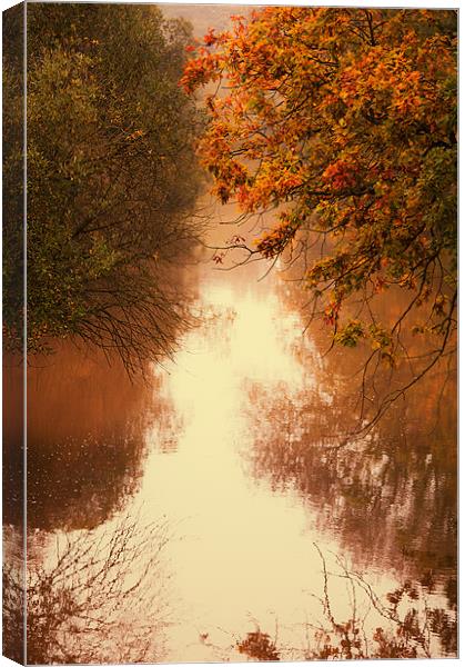 Autumn Reflections Canvas Print by Dawn Cox