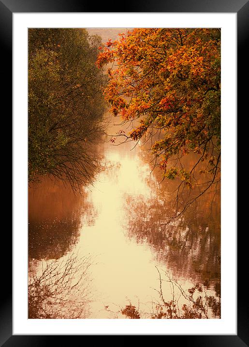 Autumn Reflections Framed Mounted Print by Dawn Cox
