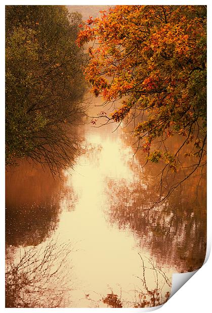 Autumn Reflections Print by Dawn Cox