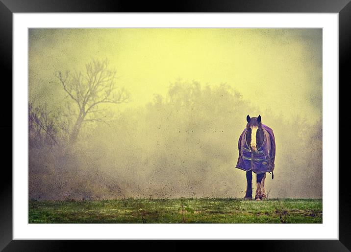 Solitude Framed Mounted Print by Dawn Cox