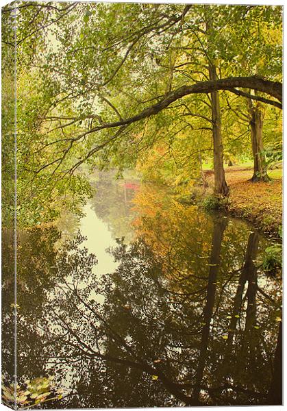 Autumn by the Stream at Chidingstone Canvas Print by Dawn Cox