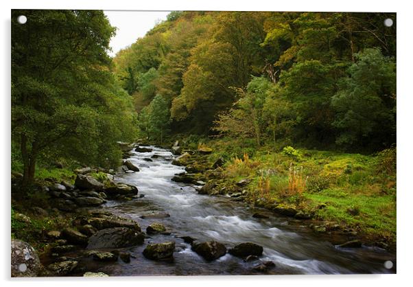 River Lyn Acrylic by Dave Wilkinson North Devon Ph