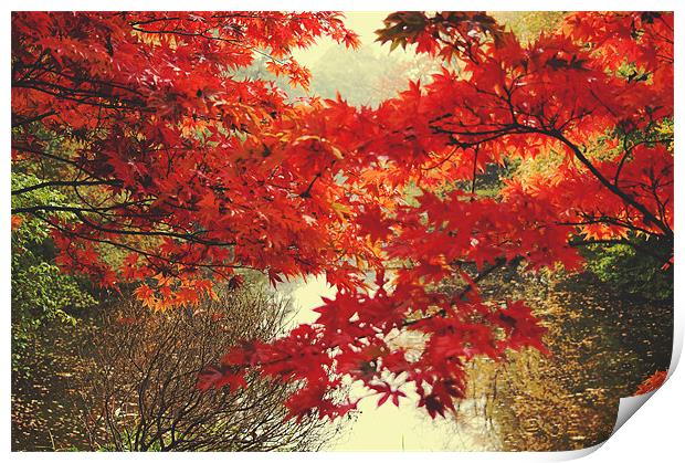 Autumn over the Lake Print by Dawn Cox