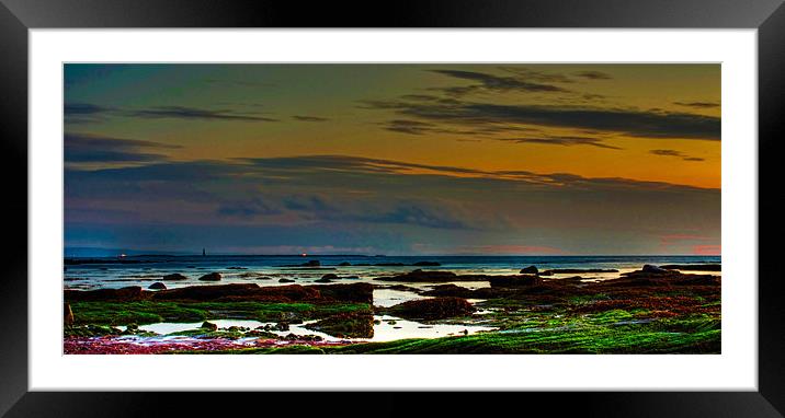 Horse Island off Ardrossan Harbour Framed Mounted Print by Tylie Duff Photo Art