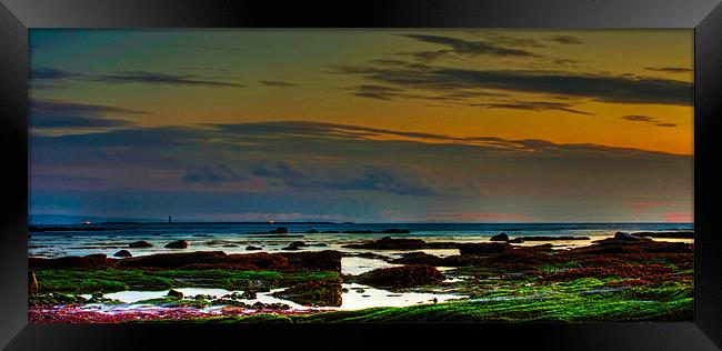 Horse Island off Ardrossan Harbour Framed Print by Tylie Duff Photo Art