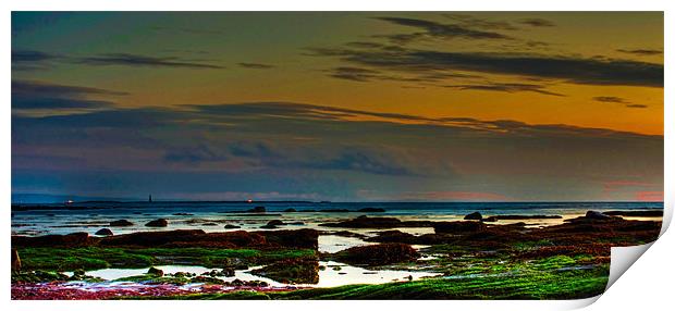 Horse Island off Ardrossan Harbour Print by Tylie Duff Photo Art