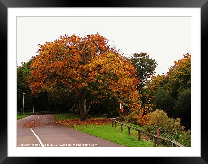 colours of autumn Framed Mounted Print by linda cook