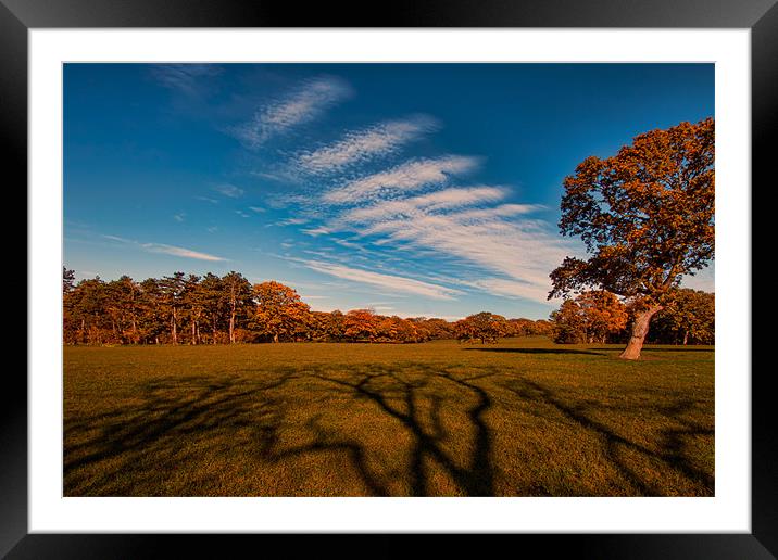 Long Shadows Framed Mounted Print by Roger Green