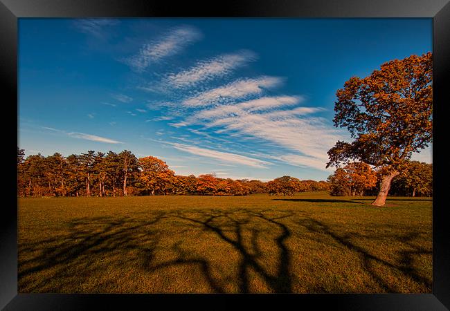 Long Shadows Framed Print by Roger Green