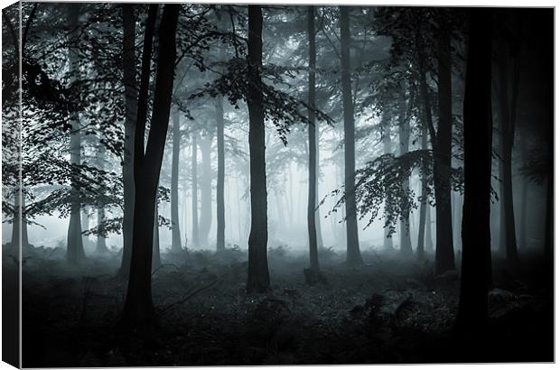 The Fog Canvas Print by Ian Hufton