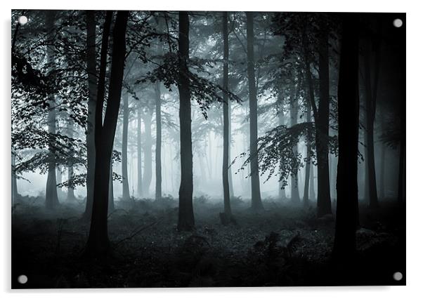 The Fog Acrylic by Ian Hufton