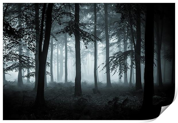 The Fog Print by Ian Hufton