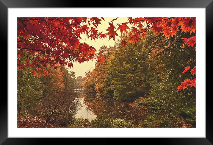 Autumn landscape Framed Mounted Print by Dawn Cox
