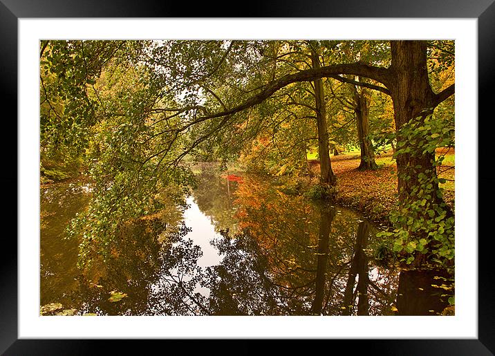 Down by the Stream Framed Mounted Print by Dawn Cox