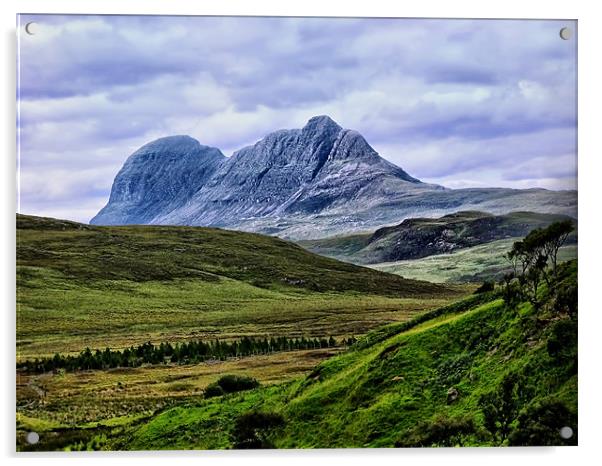 Suilven From Knockan Crag Acrylic by Jacqi Elmslie