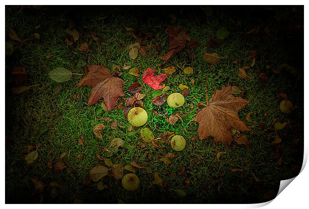 Apples and Leaves Print by kevin wise