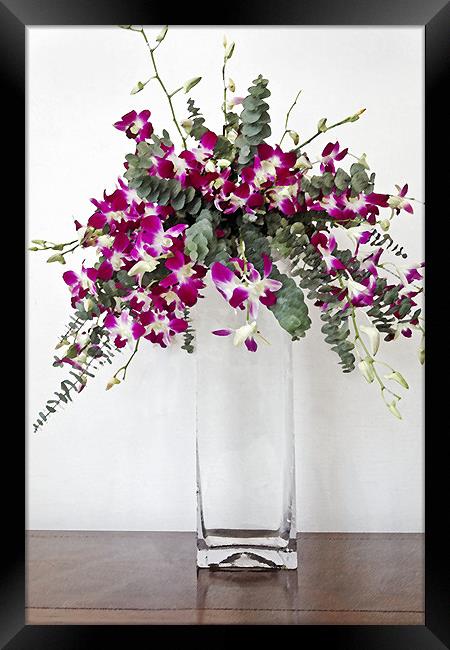 Square vase display of tropical pansies Framed Print by Arfabita  