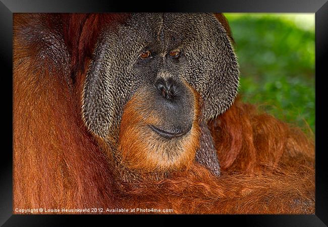 Thoughtful Framed Print by Louise Heusinkveld