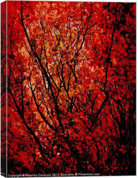Autumn Colours Canvas Print by Rosanna Zavanaiu