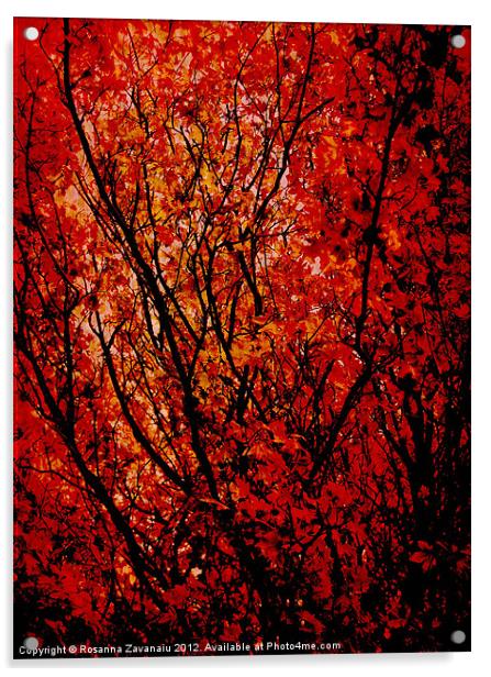 Autumn Colours Acrylic by Rosanna Zavanaiu