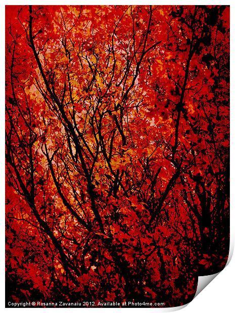 Autumn Colours Print by Rosanna Zavanaiu