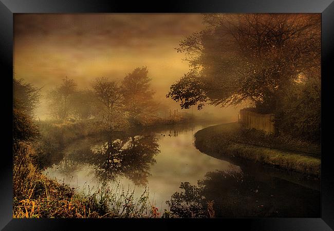 Out of the mist Framed Print by Irene Burdell