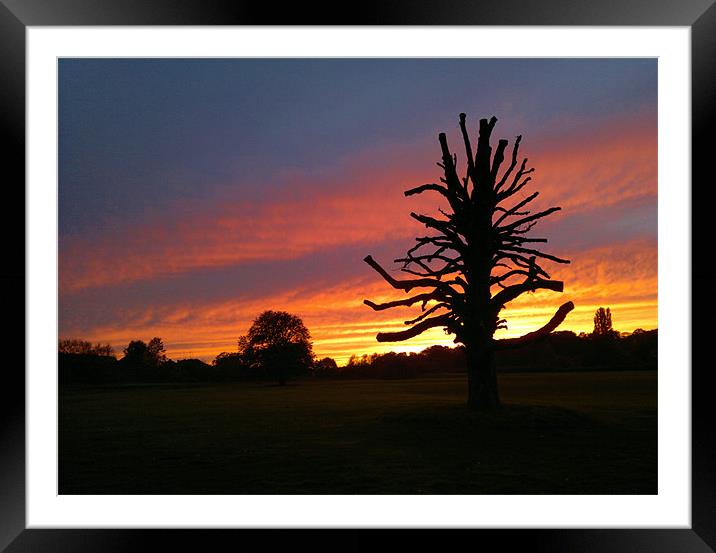 sunset on the field Framed Mounted Print by mark graham