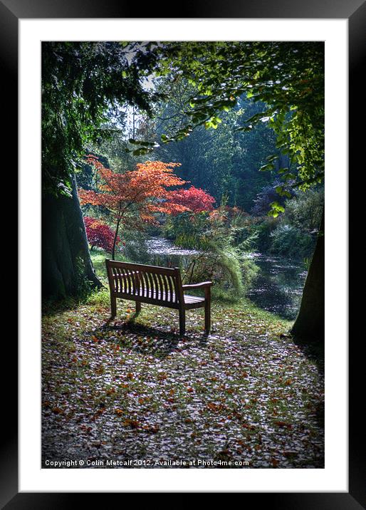 Meditation Seat Framed Mounted Print by Colin Metcalf