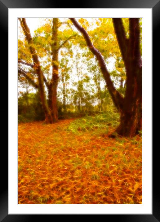 Autumn leafs Fractals Framed Mounted Print by David French