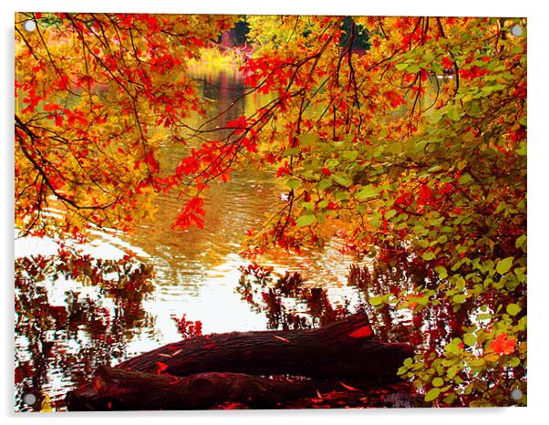 Autumn leafs Acrylic by David French