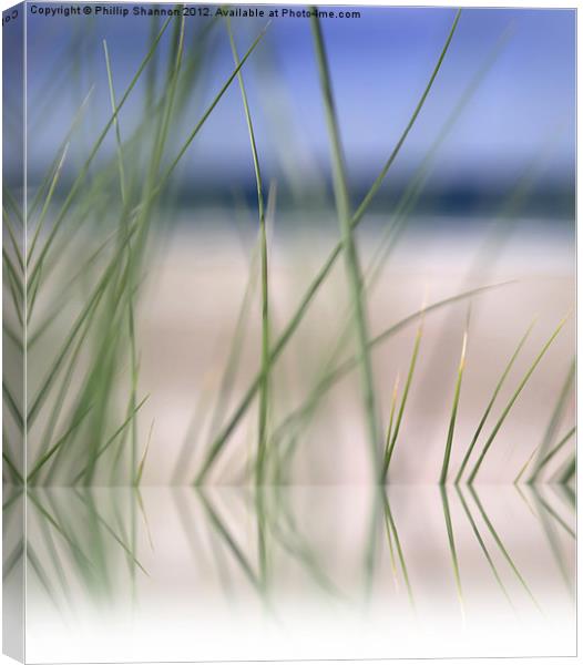 abstract beach grass sky 02 with reflection Canvas Print by Phillip Shannon