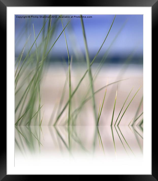 abstract beach grass sky 02 with reflection Framed Mounted Print by Phillip Shannon