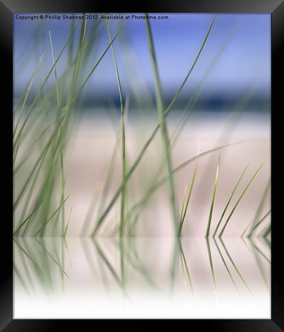 abstract beach grass sky 02 with reflection Framed Print by Phillip Shannon