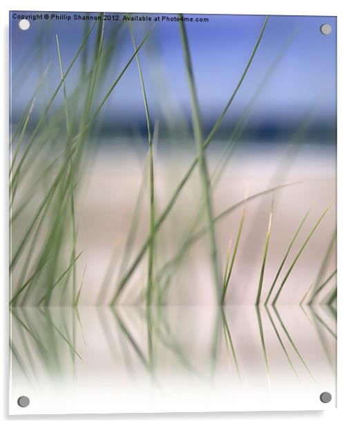 abstract beach grass sky 02 with reflection Acrylic by Phillip Shannon